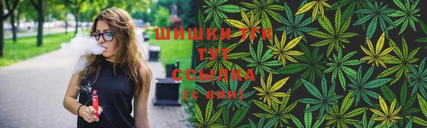 спиды Сосновка